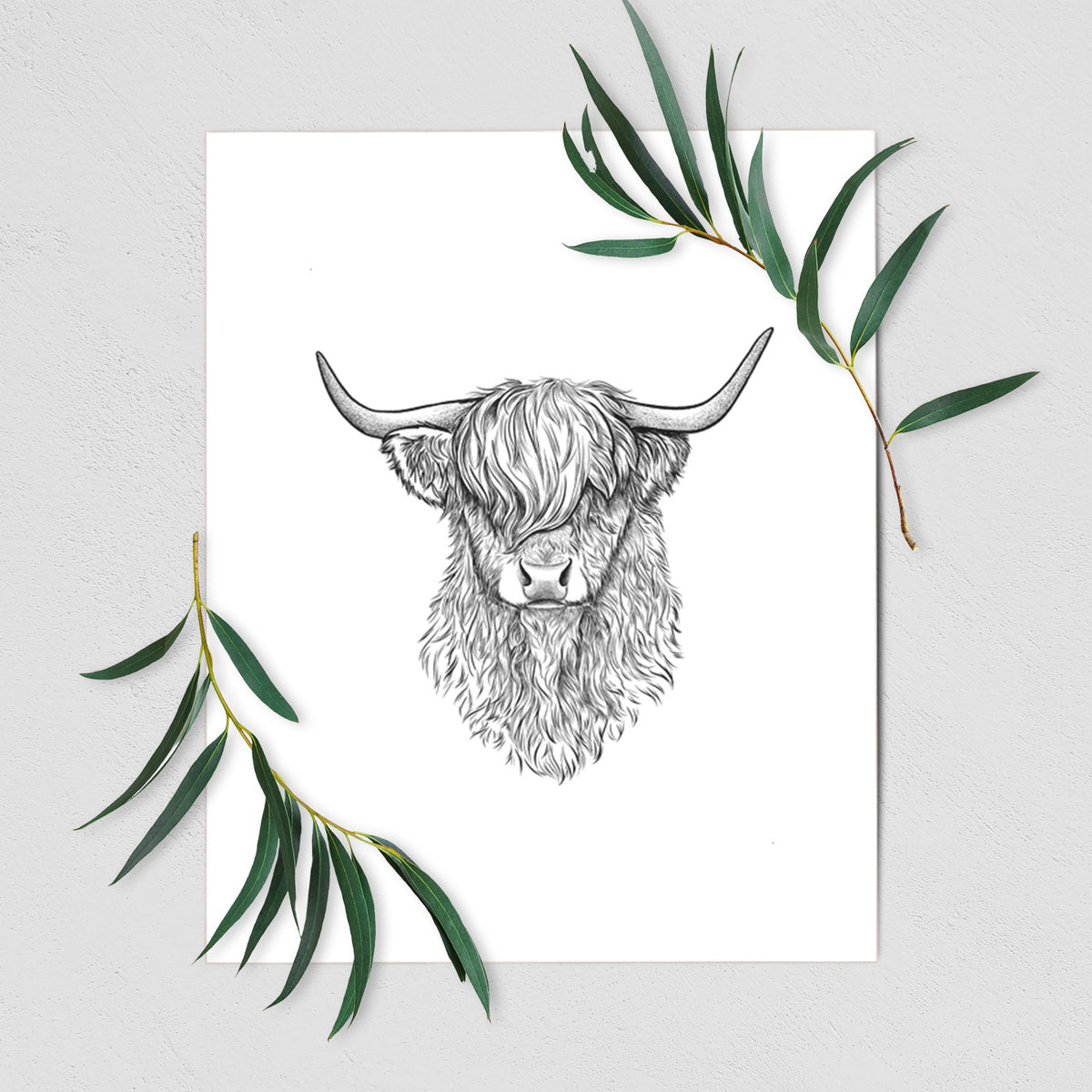 Art print of a detailed black ink portrait of a shaggy highland cow with long curved horns, shown with eucalyptus leaves.