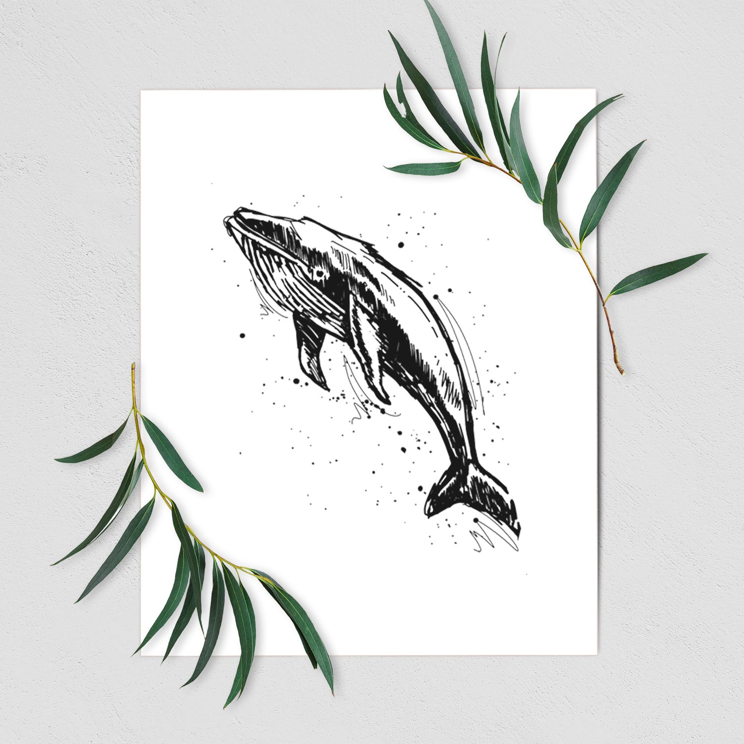 Art print of a black ink illustration of a humpback whale diving, with ink splatters, shown with eucalyptus leaves.