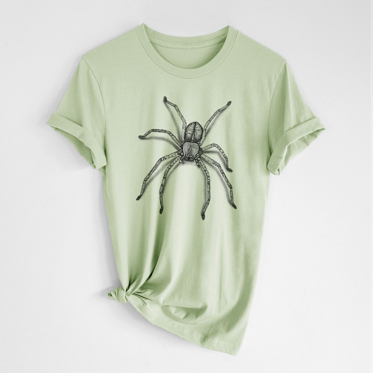 Spring green lightweight cotton t-shirt laid flat with the sleeves rolled, printed with a detailed black ink illustration of a huntsman spider with long legs spread.