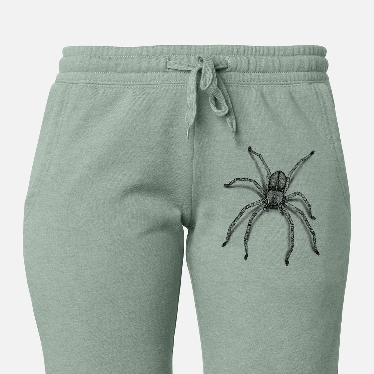 Front of sage green Cali Wave sweatpants, printed with a detailed black ink illustration of a huntsman spider with long legs spread on the leg.