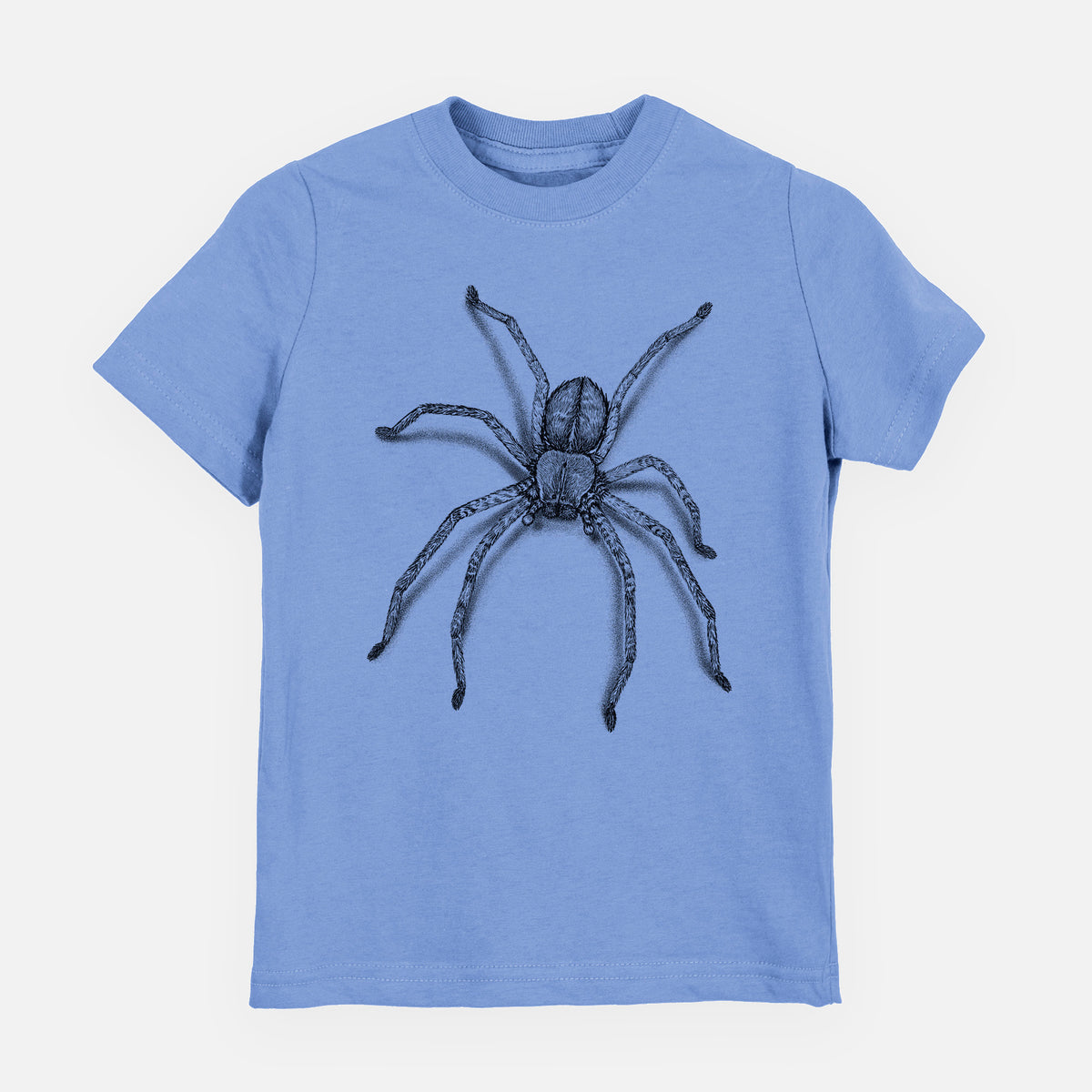 Carolina blue youth t-shirt laid flat, printed with a detailed black ink illustration of a huntsman spider with long legs spread.