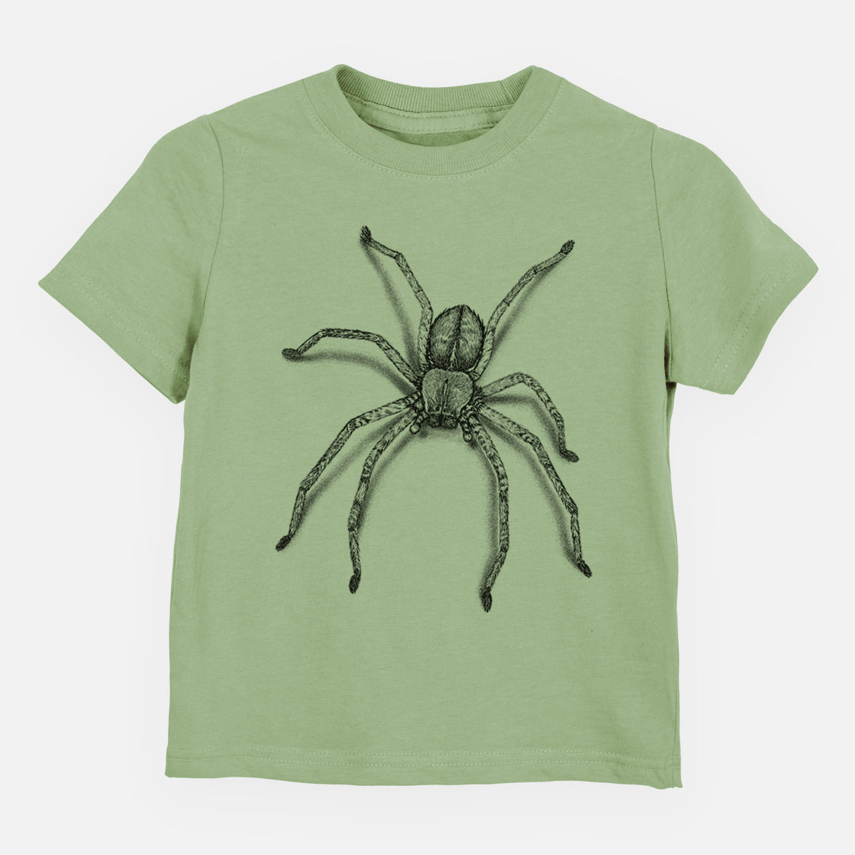 Sage green toddler t-shirt laid flat, printed with a detailed black ink illustration of a huntsman spider with long legs spread.