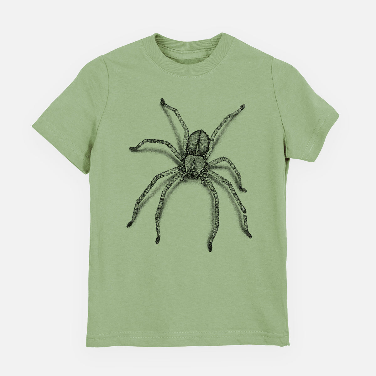 Sage green youth t-shirt laid flat, printed with a detailed black ink illustration of a huntsman spider with long legs spread.