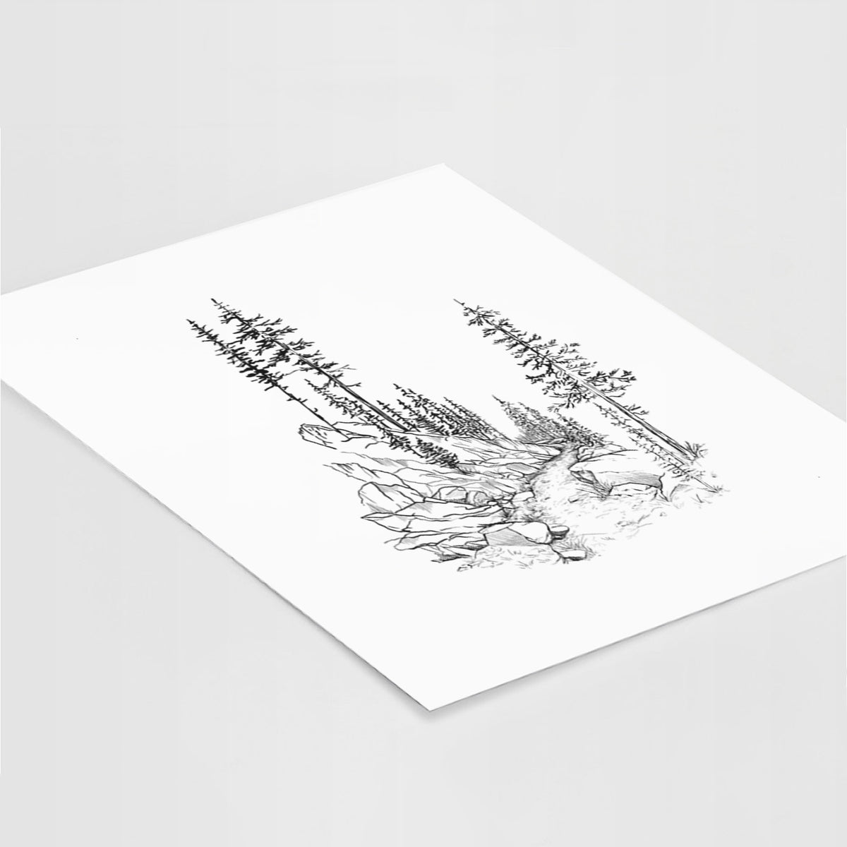 Art print of a black ink illustration of a trail winding past tall pine trees and rocks into the woods, lying at an angle on a white surface.