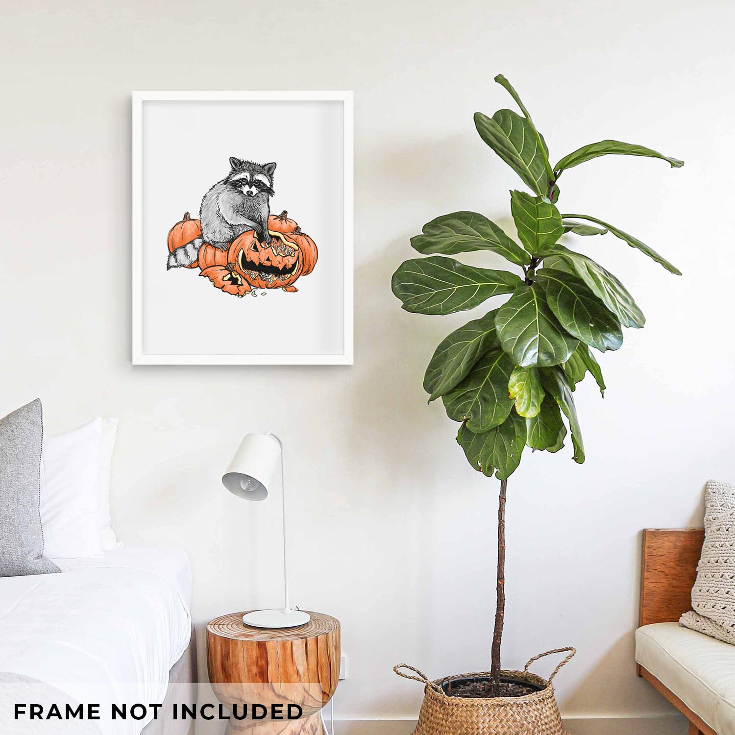 Art print of a black ink raccoon peeking over carved orange jack-o'-lanterns, shown with eucalyptus leaves.