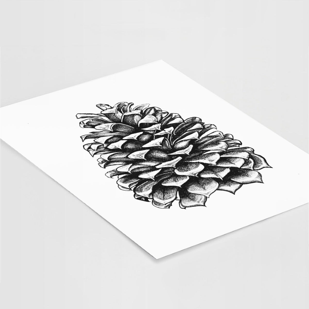 Art print of a detailed black ink illustration of a large Jeffrey pine cone, lying at an angle on a white surface.