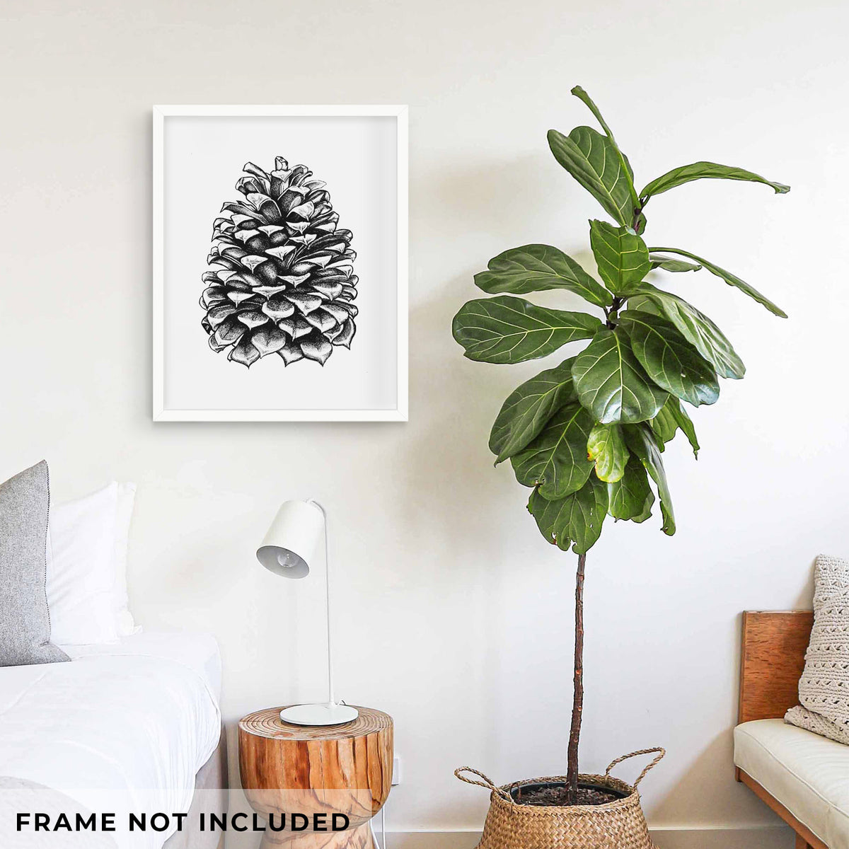 Art print of a detailed black ink illustration of a large Jeffrey pine cone, shown framed on a living room wall beside a potted plant. Frame not included.