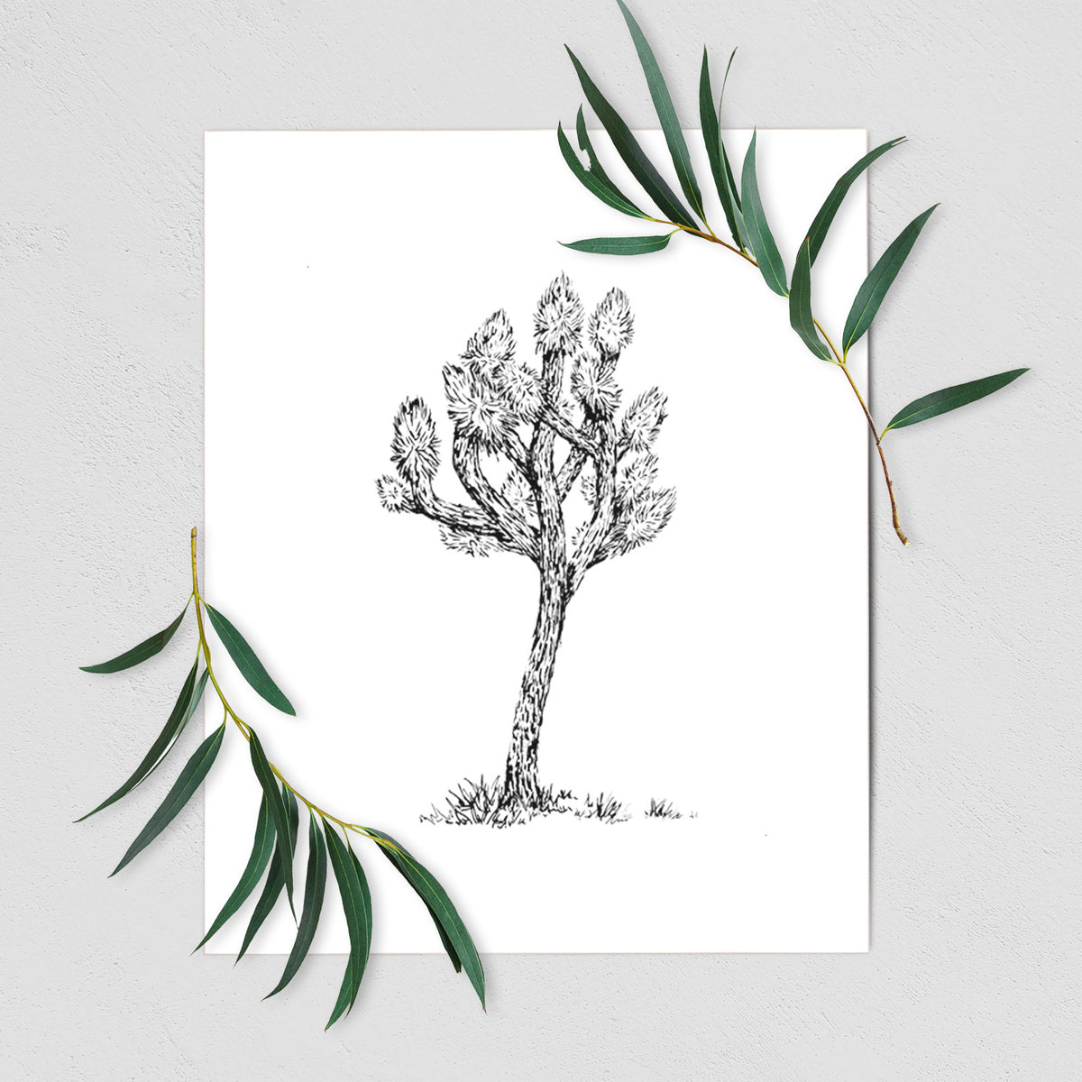 Art print of a detailed black ink illustration of a Joshua tree, shown with eucalyptus leaves.