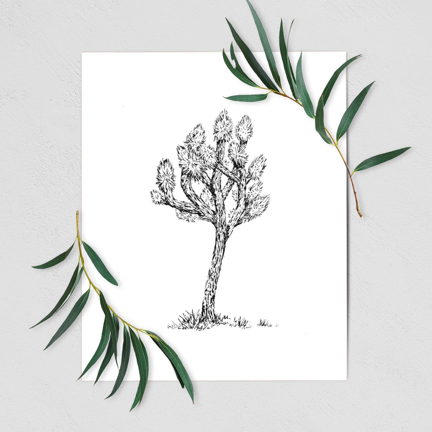 Art print of a detailed black ink illustration of a Joshua tree, shown with eucalyptus leaves.