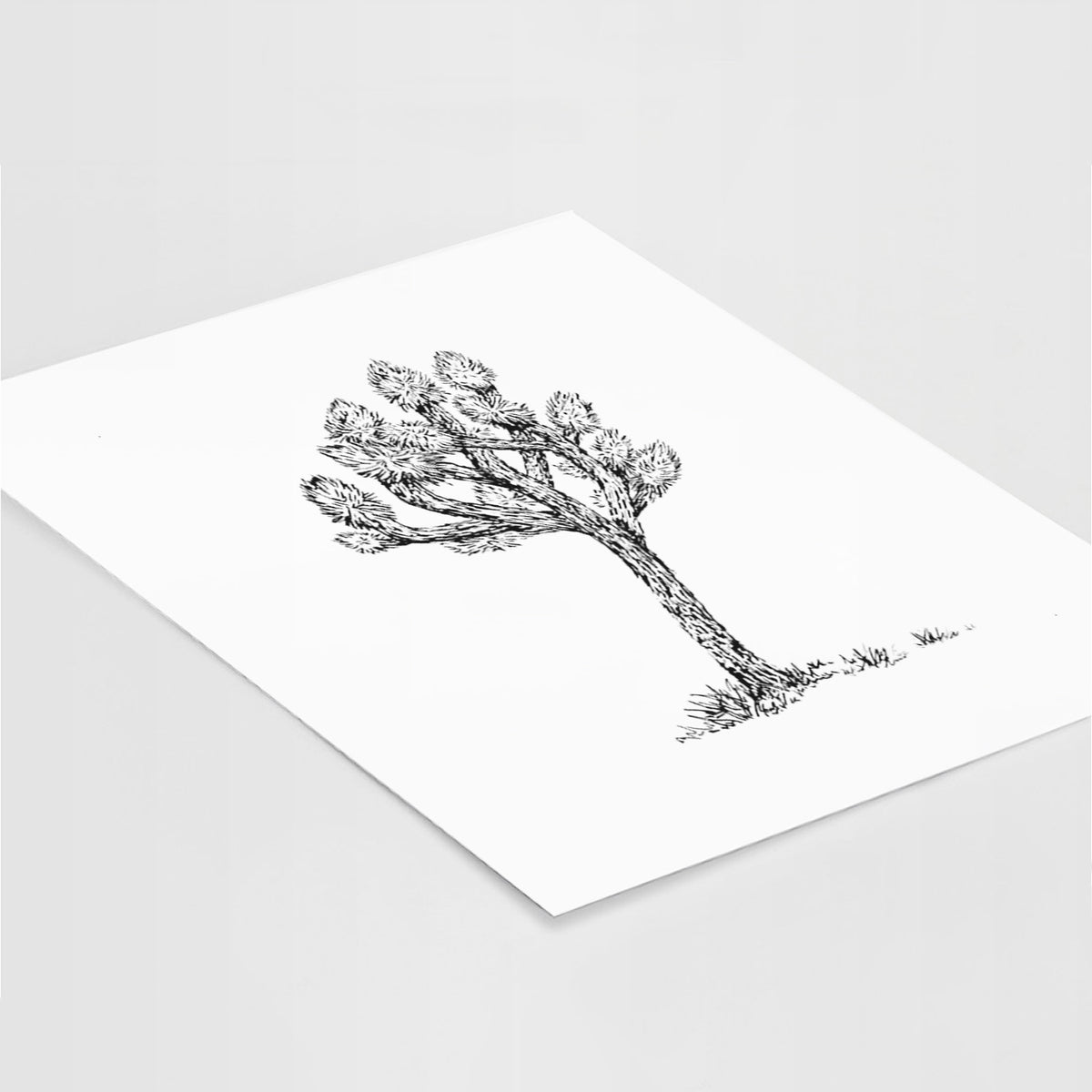Art print of a detailed black ink illustration of a Joshua tree, lying at an angle on a white surface.