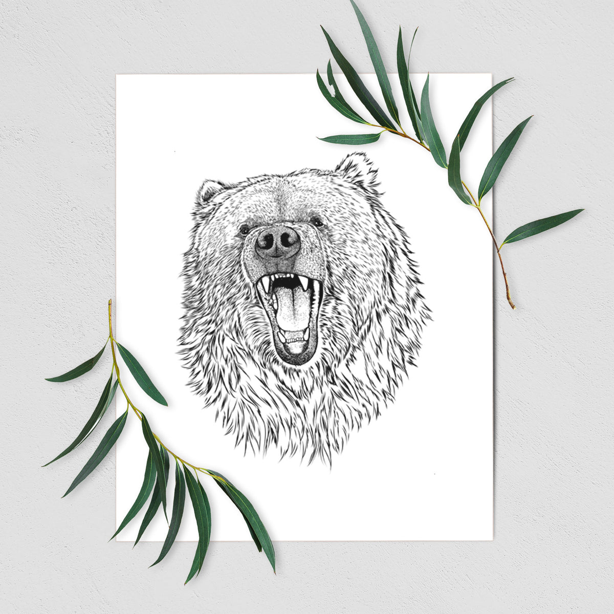 Art print of a detailed black ink portrait of a roaring Kodiak bear facing forward, shown with eucalyptus leaves.