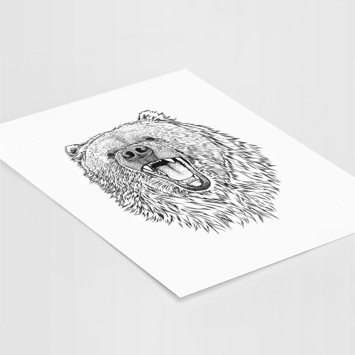 Art print of a detailed black ink portrait of a roaring Kodiak bear facing forward, lying at an angle on a white surface.