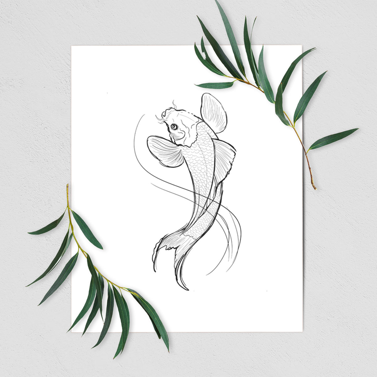 Art print of a black ink line drawing of a koi fish swimming with flowing fins, shown with eucalyptus leaves.
