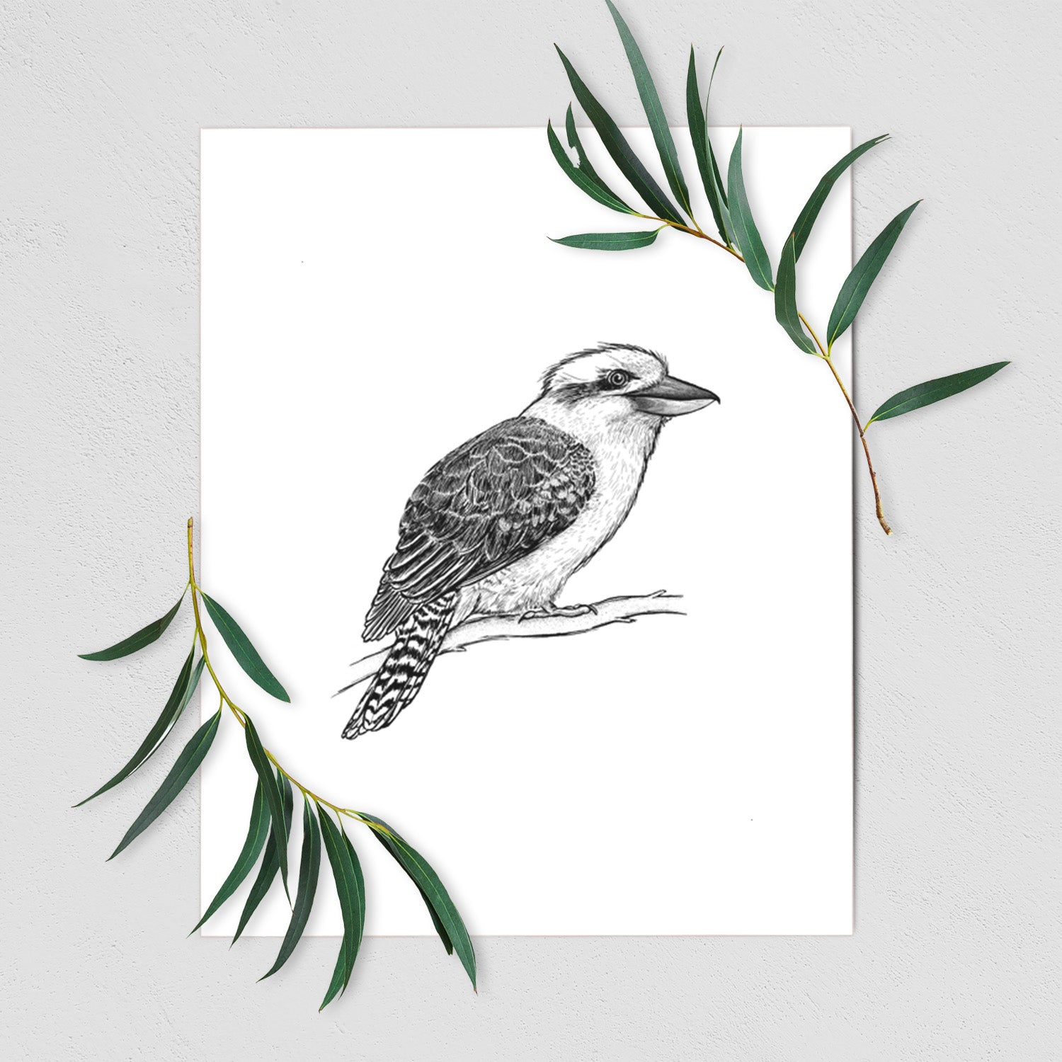 Art print of a detailed black ink sketch of a kookaburra perched on a branch, shown with eucalyptus leaves.