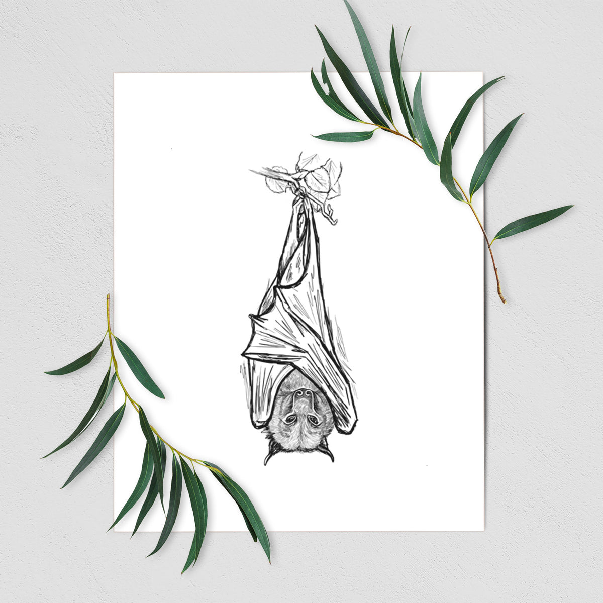 Art print of a black ink illustration of a large flying fox bat hanging upside down with its wings wrapped around it, shown with eucalyptus leaves.