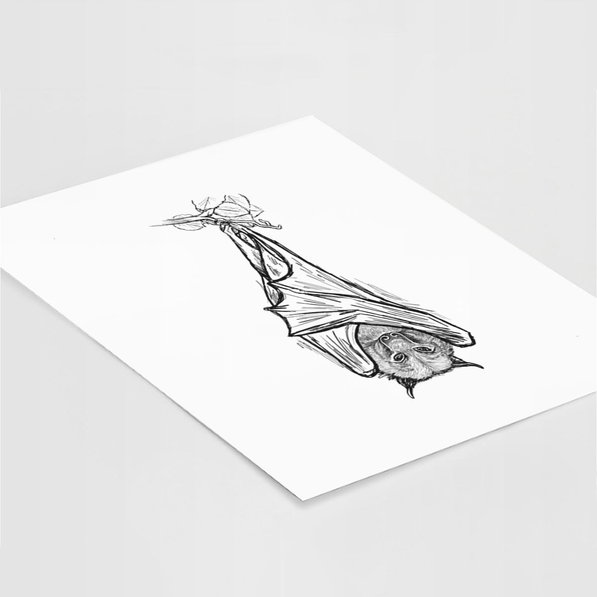 Art print of a black ink illustration of a large flying fox bat hanging upside down with its wings wrapped around it, lying at an angle on a white surface.