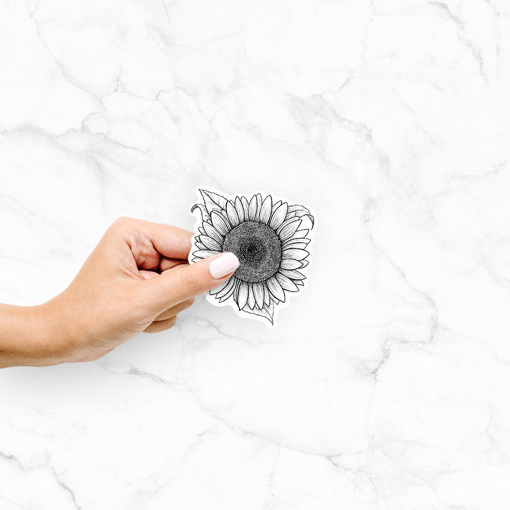 Hand holding a 4 inch vinyl decal of a detailed black ink line drawing of a Lemon Queen sunflower in bloom.