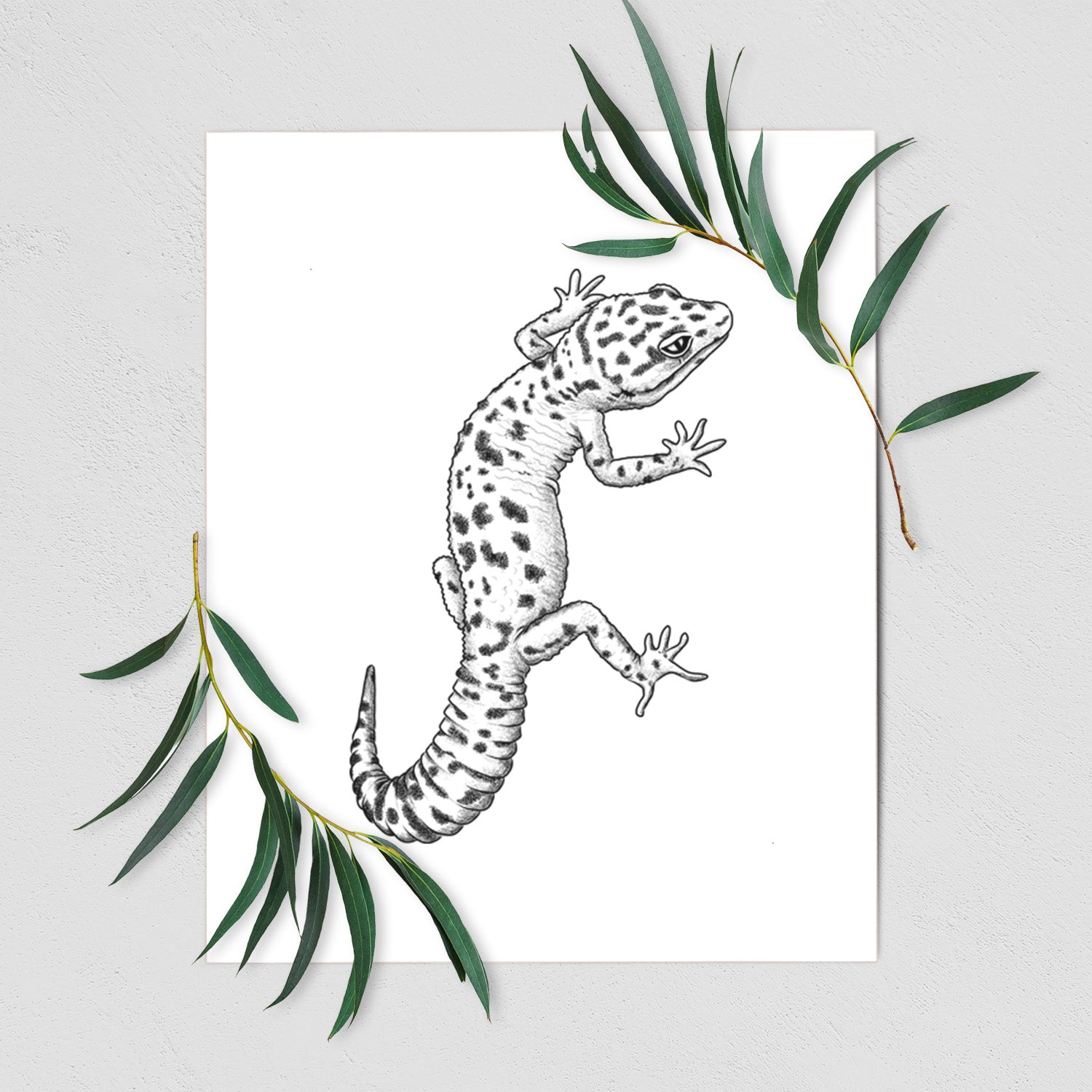 Art print of a detailed black ink illustration of a spotted leopard gecko climbing, shown with eucalyptus leaves.