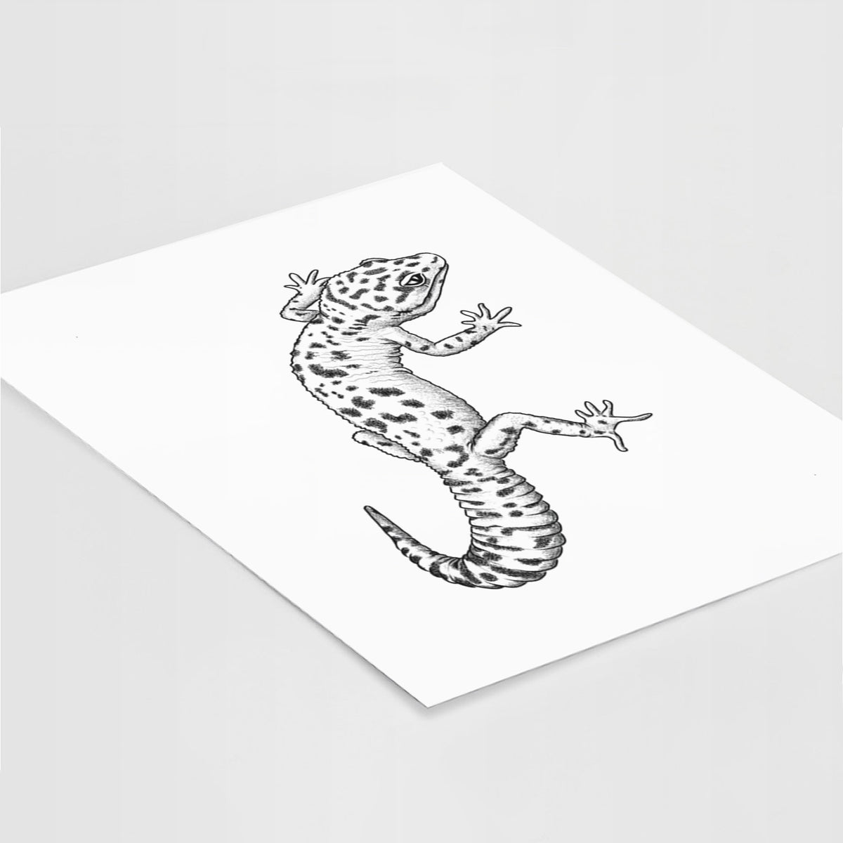 Art print of a detailed black ink illustration of a spotted leopard gecko climbing, lying at an angle on a white surface.