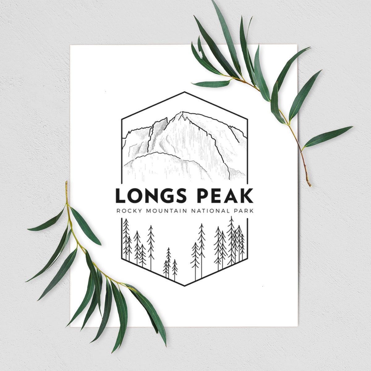 Art print of a black line art badge of Longs Peak above a pine forest, with the words Longs Peak, Rocky Mountain National Park, shown with eucalyptus leaves.