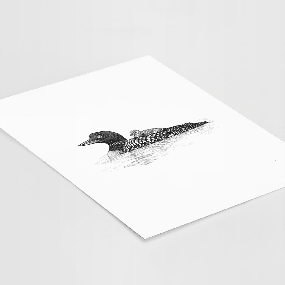 Art print of a black ink sketch of a common loon floating on water with a chick riding on its back, lying at an angle on a white surface.