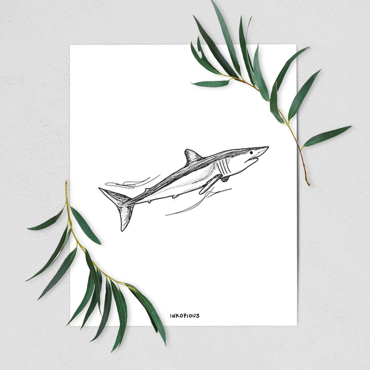 Art print of a black ink illustration of a mako shark swimming, shown with eucalyptus leaves.