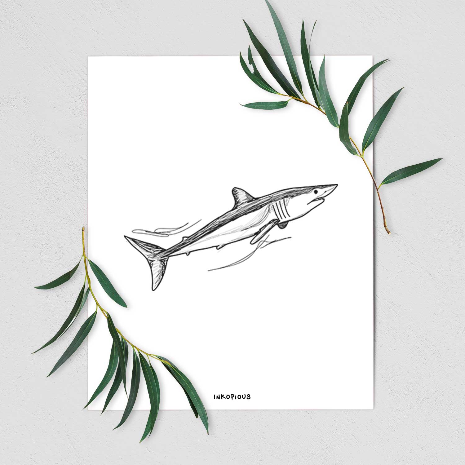 Art print of a black ink illustration of a mako shark swimming, shown with eucalyptus leaves.