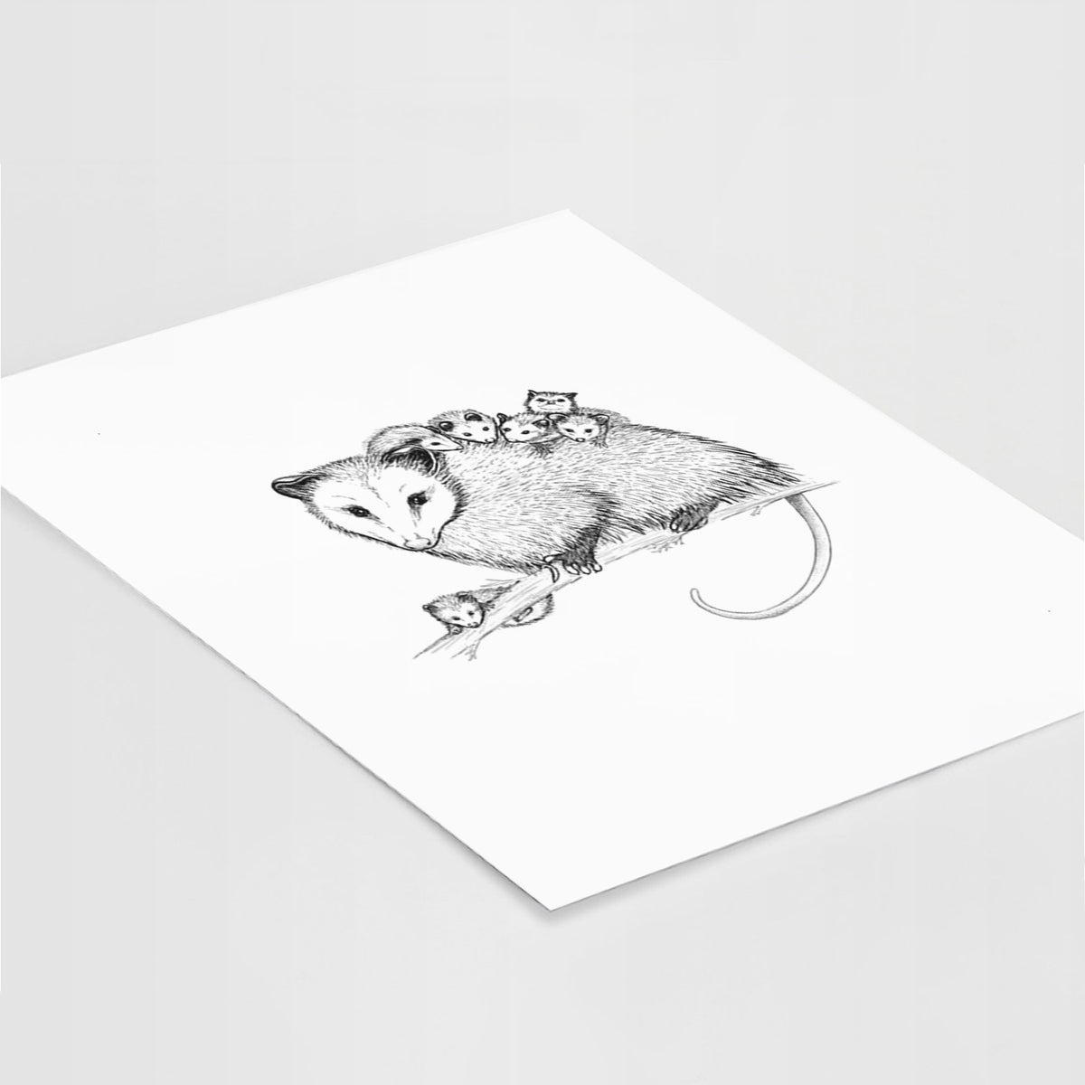 Art print of a black ink illustration of a mother opossum on a branch carrying her babies on her back, lying at an angle on a white surface.
