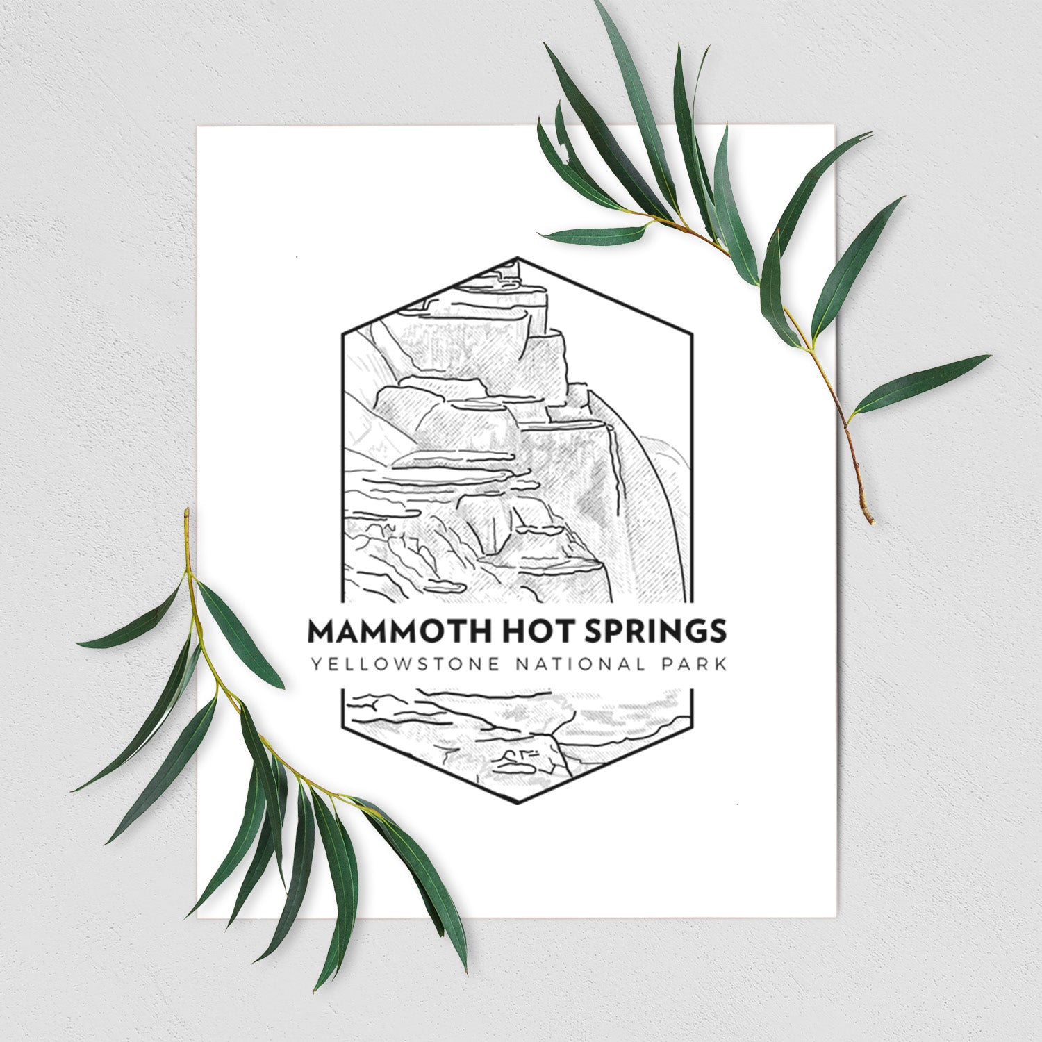Art print of a black line art badge of the terraces at Mammoth Hot Springs, with the words Mammoth Hot Springs, Yellowstone National Park, shown with eucalyptus leaves.