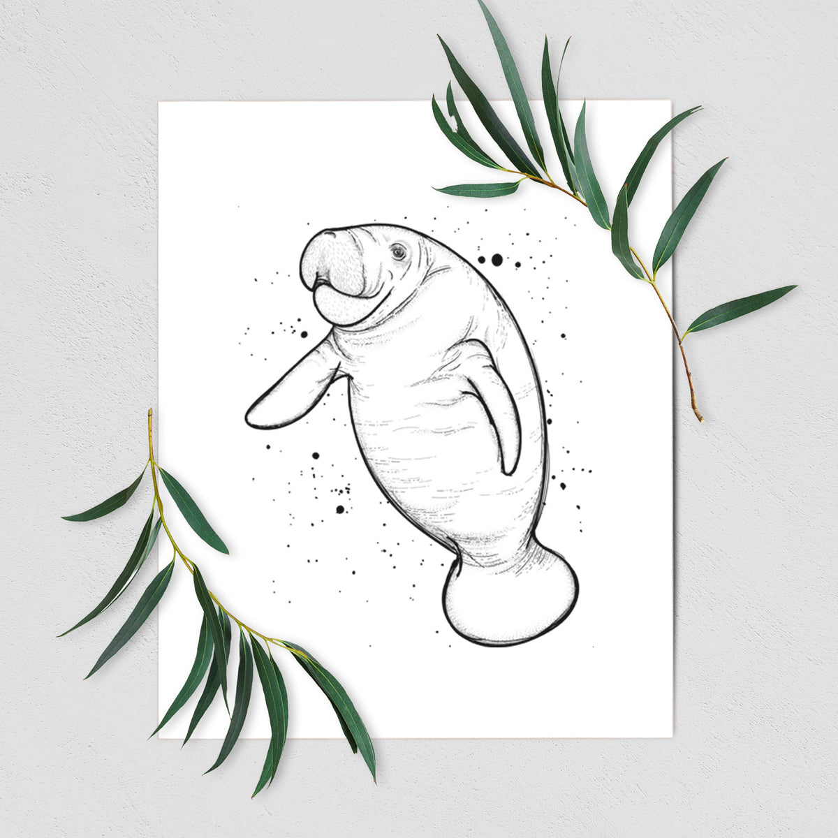 Art print of a black ink line drawing of a manatee swimming, with ink splatters, shown with eucalyptus leaves.