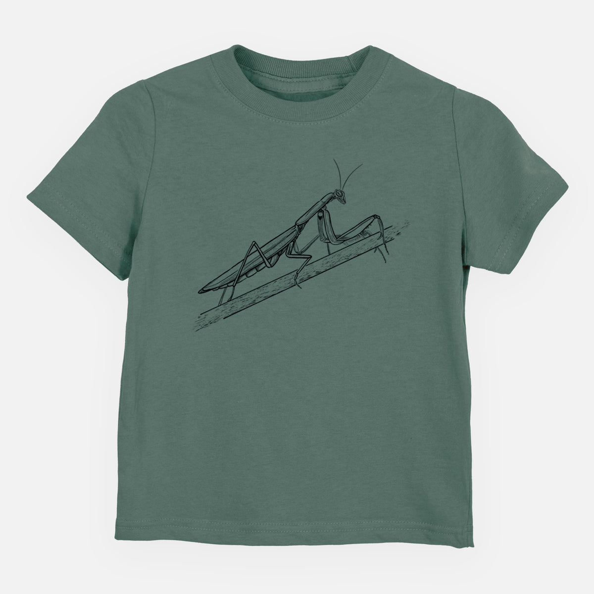 Basil green toddler t-shirt laid flat, printed with a detailed black ink illustration of a praying mantis on a stem.