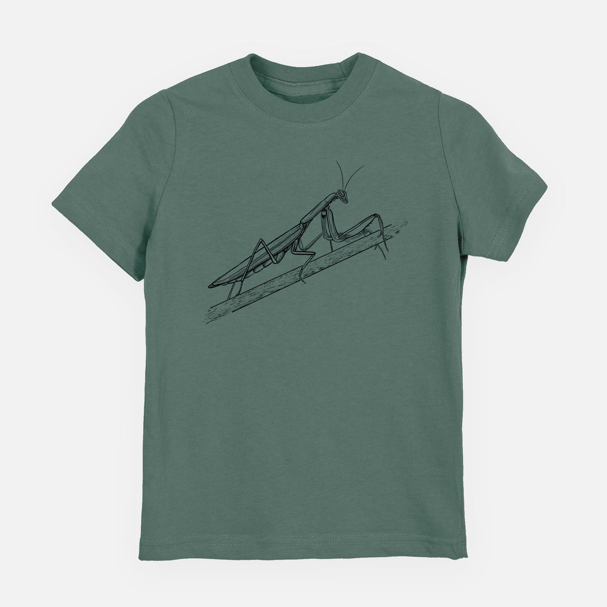Basil green youth t-shirt laid flat, printed with a detailed black ink illustration of a praying mantis on a stem.