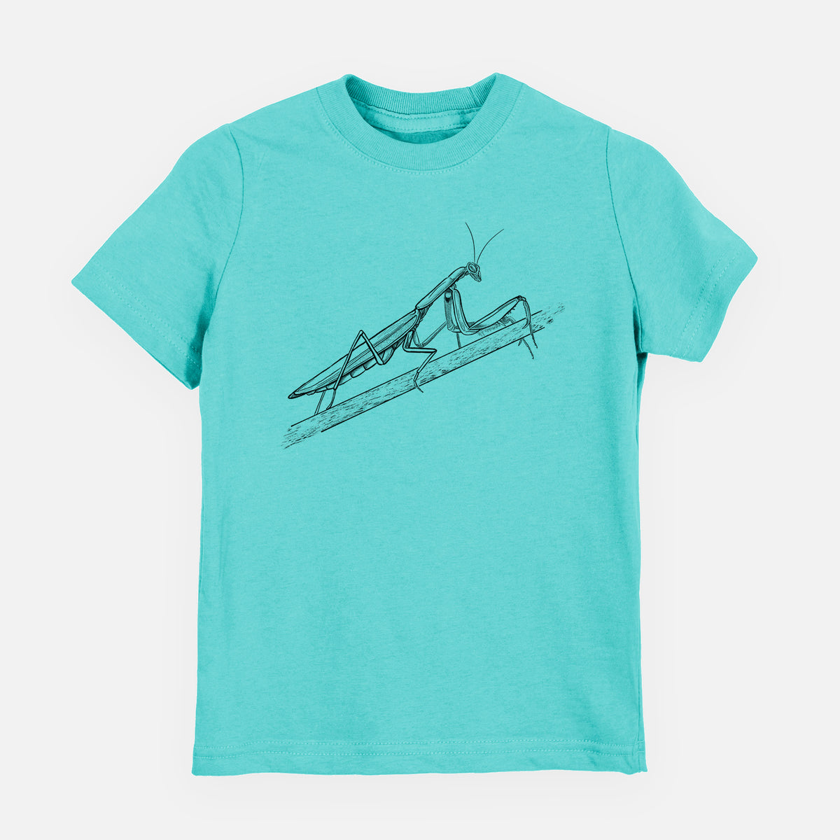 Caribbean blue youth t-shirt laid flat, printed with a detailed black ink illustration of a praying mantis on a stem.