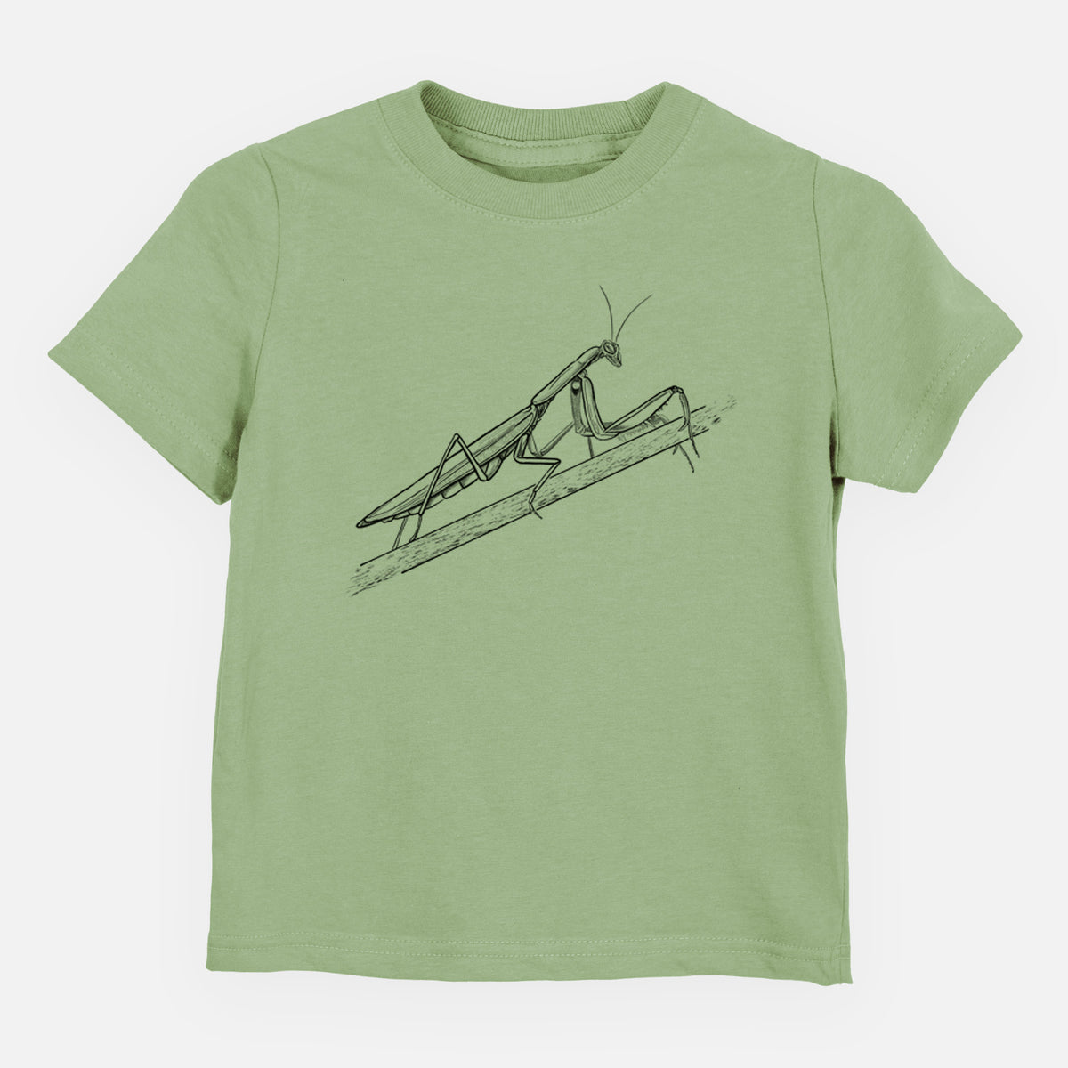 Sage green toddler t-shirt laid flat, printed with a detailed black ink illustration of a praying mantis on a stem.