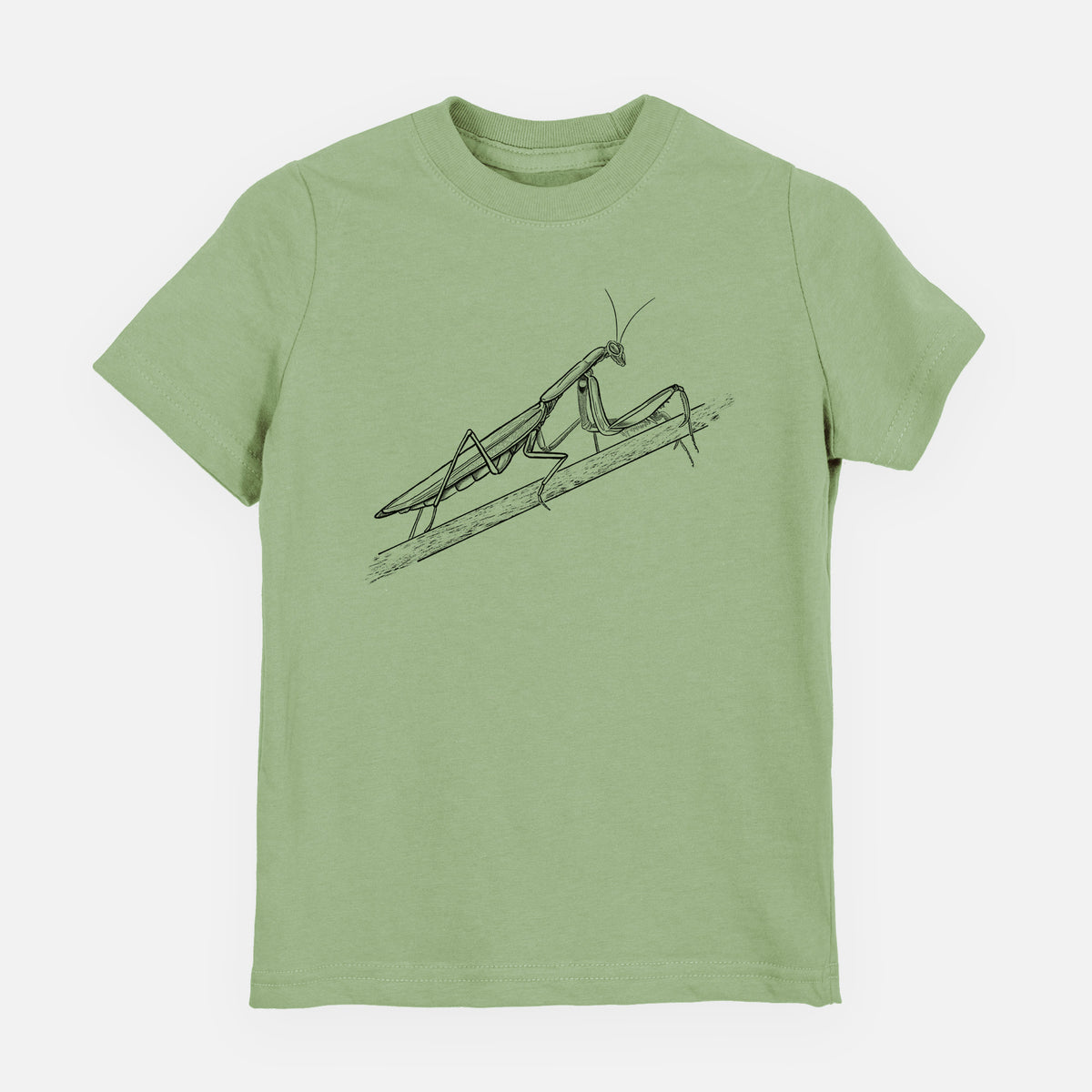 Sage green youth t-shirt laid flat, printed with a detailed black ink illustration of a praying mantis on a stem.