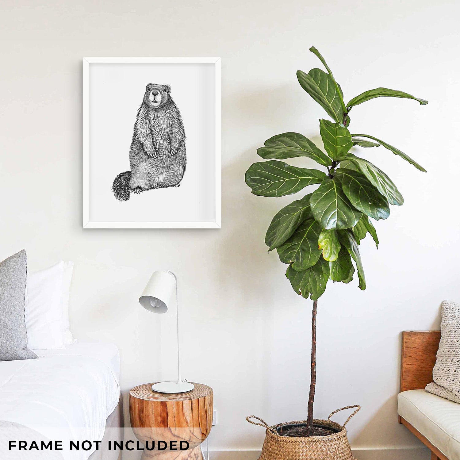 Art print of a detailed black ink illustration of a marmot standing upright, shown with eucalyptus leaves.