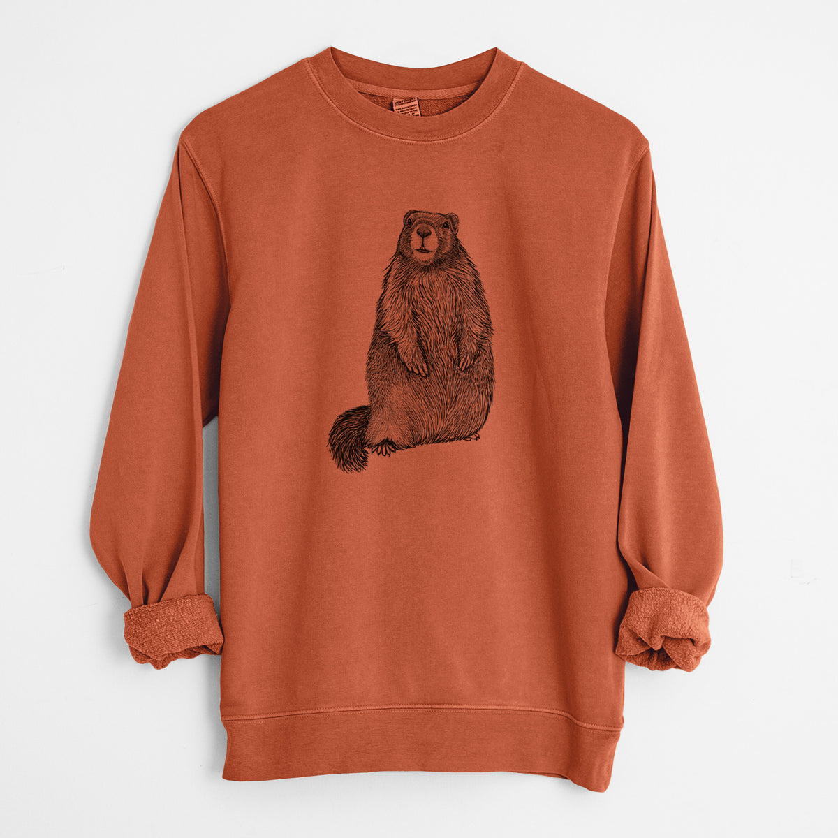 Yellow-bellied Marmot - Marmota flaviventris - Unisex Pigment Dyed Crew Sweatshirt in Amber