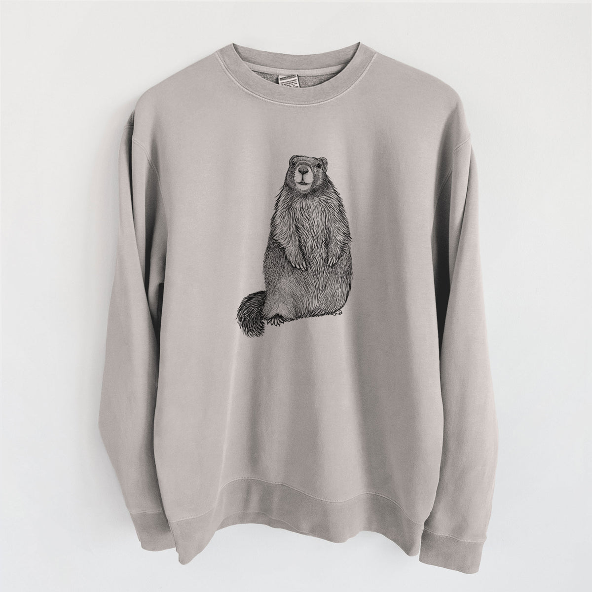 Yellow-bellied Marmot - Marmota flaviventris - Unisex Pigment Dyed Crew Sweatshirt in Cement