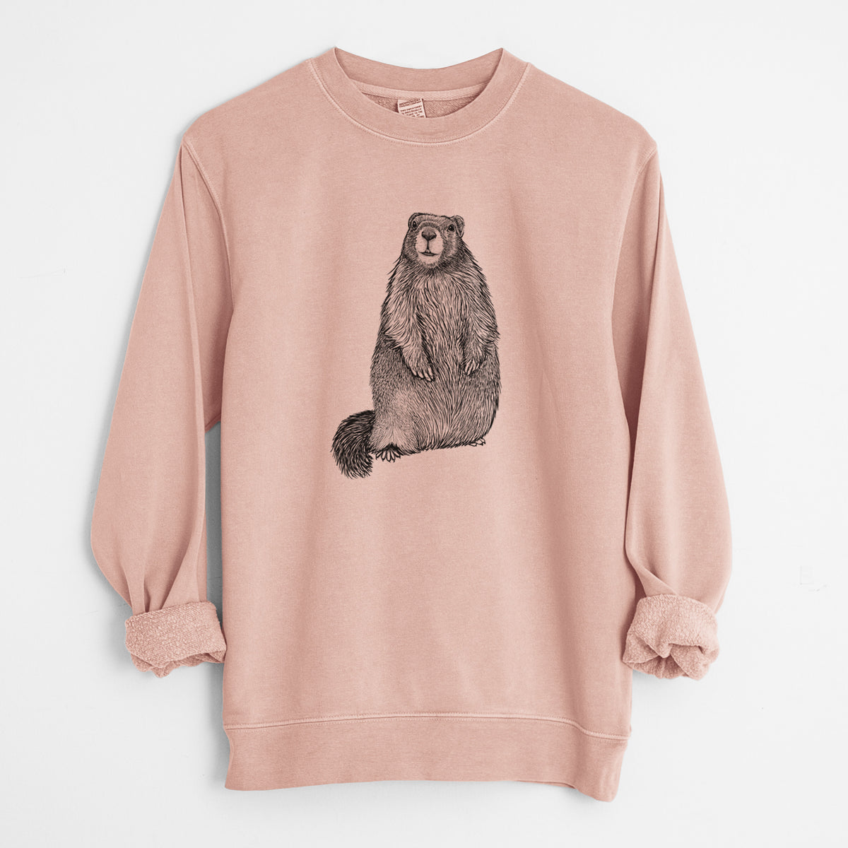 Yellow-bellied Marmot - Marmota flaviventris - Unisex Pigment Dyed Crew Sweatshirt in Dusty Pink