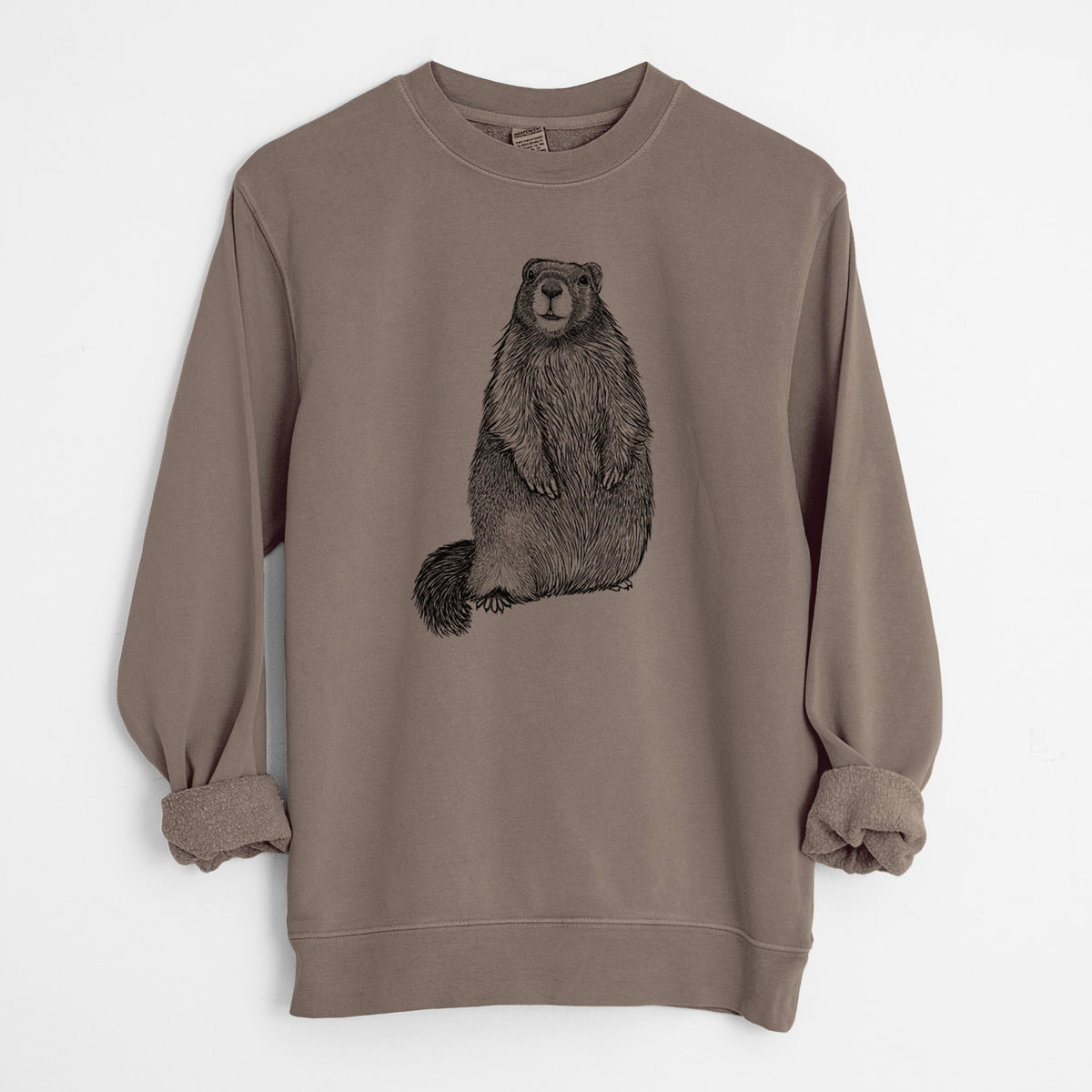 Yellow-bellied Marmot - Marmota flaviventris - Unisex Pigment Dyed Crew Sweatshirt in Espresso Brown Color