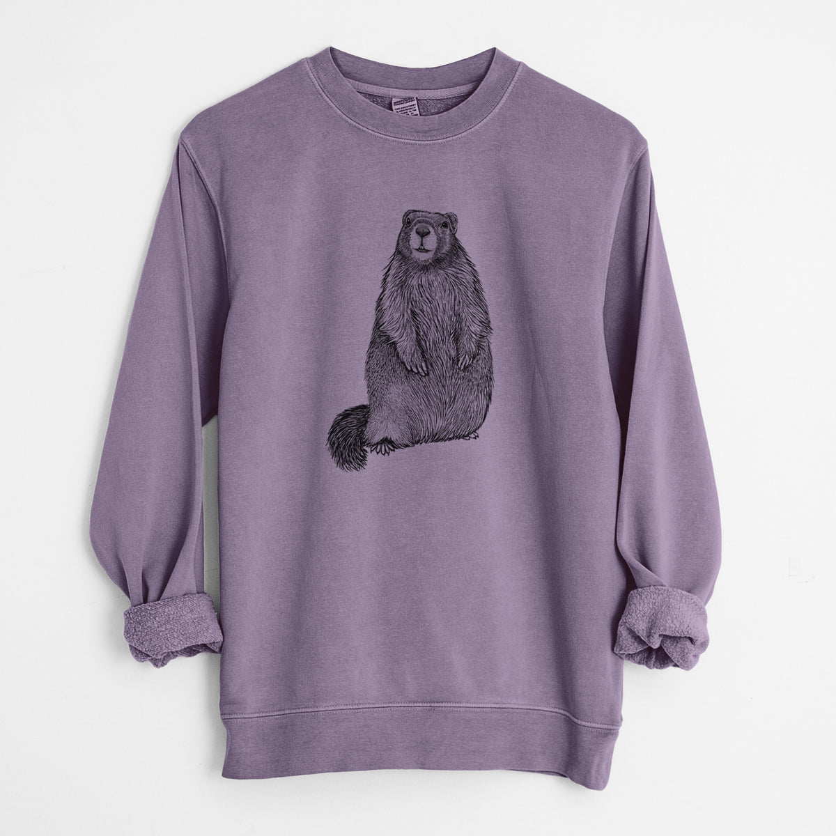 Yellow-bellied Marmot - Marmota flaviventris - Unisex Pigment Dyed Crew Sweatshirt in Plum