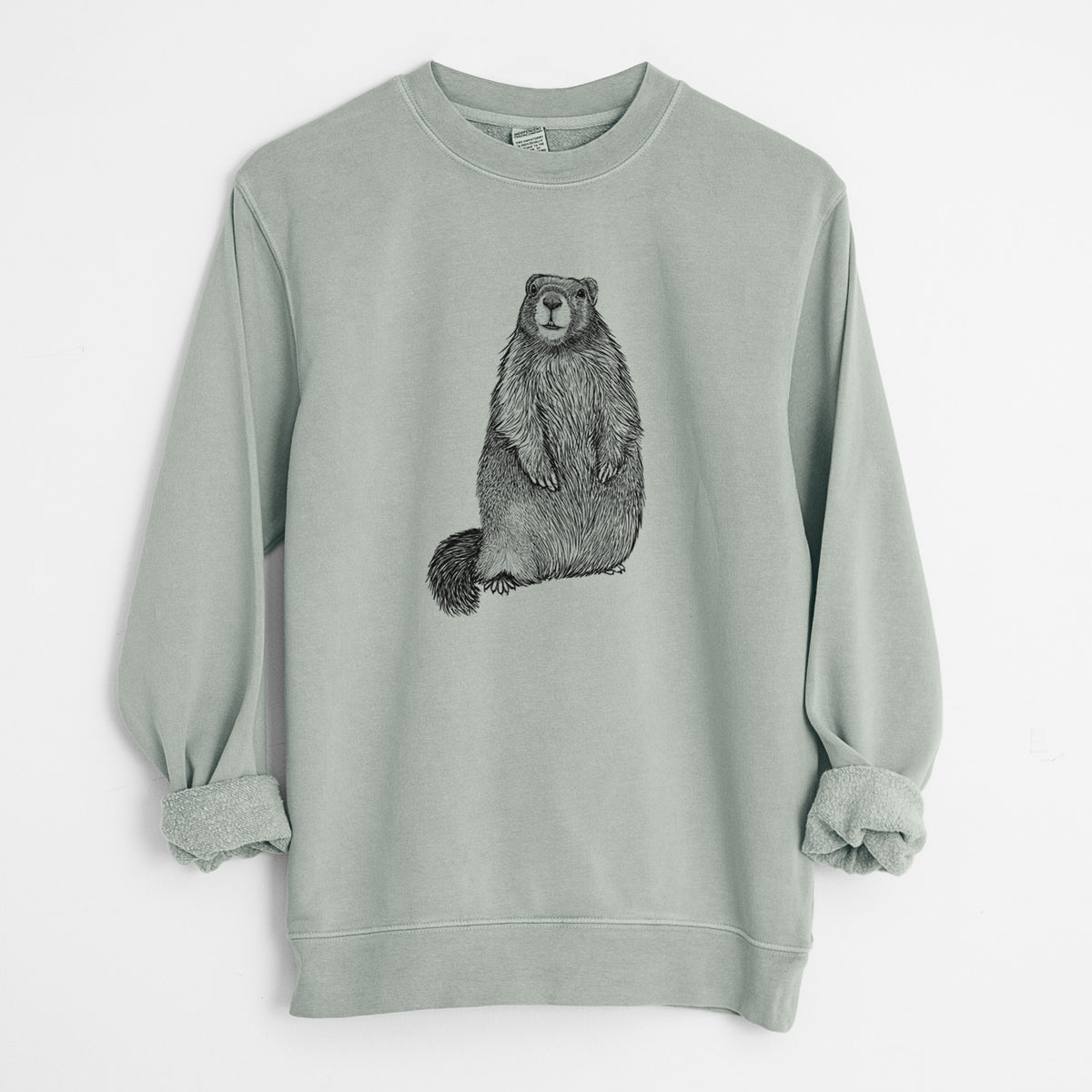 Yellow-bellied Marmot - Marmota flaviventris - Unisex Pigment Dyed Crew Sweatshirt in Sage