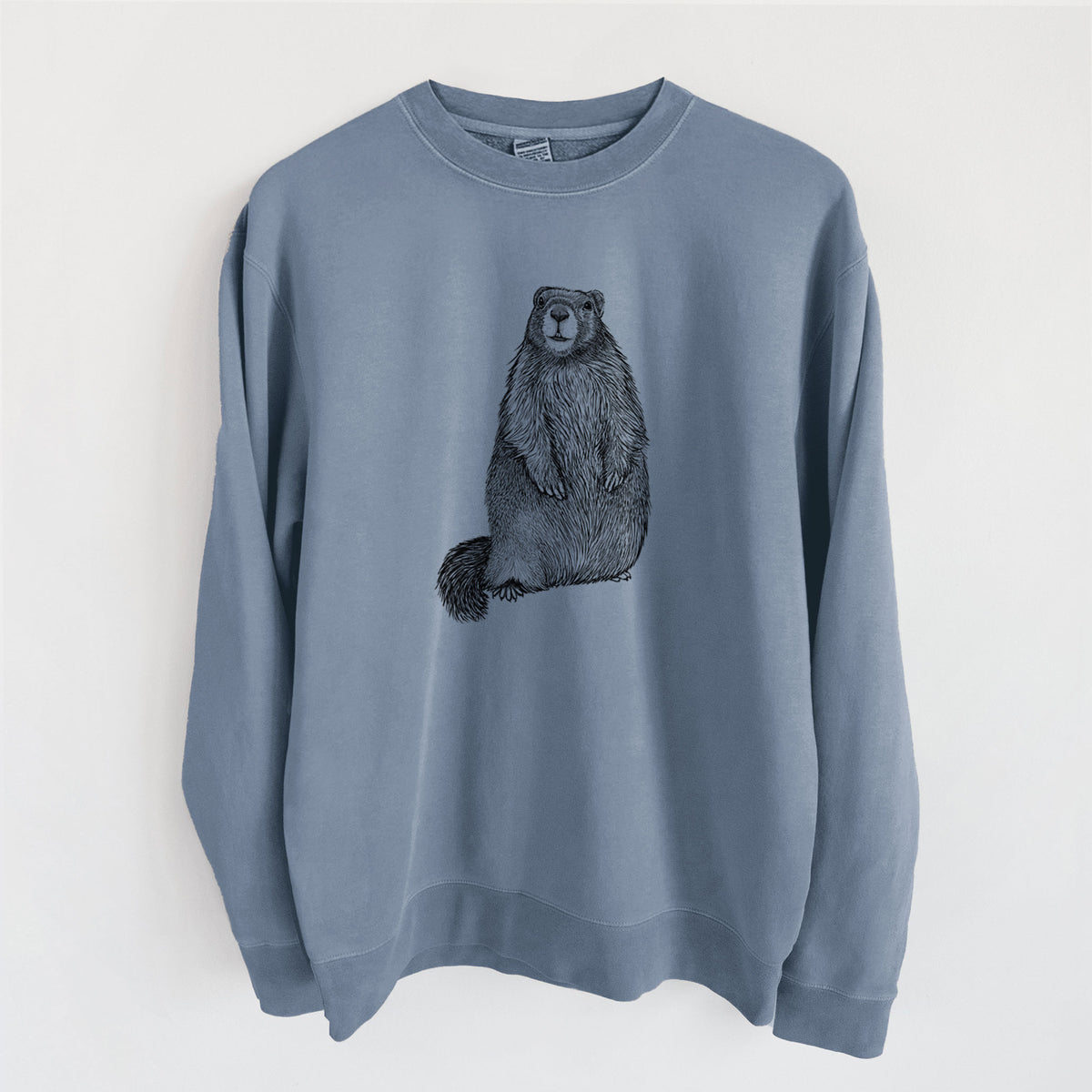 Yellow-bellied Marmot - Marmota flaviventris - Unisex Pigment Dyed Crew Sweatshirt in Slate Blue