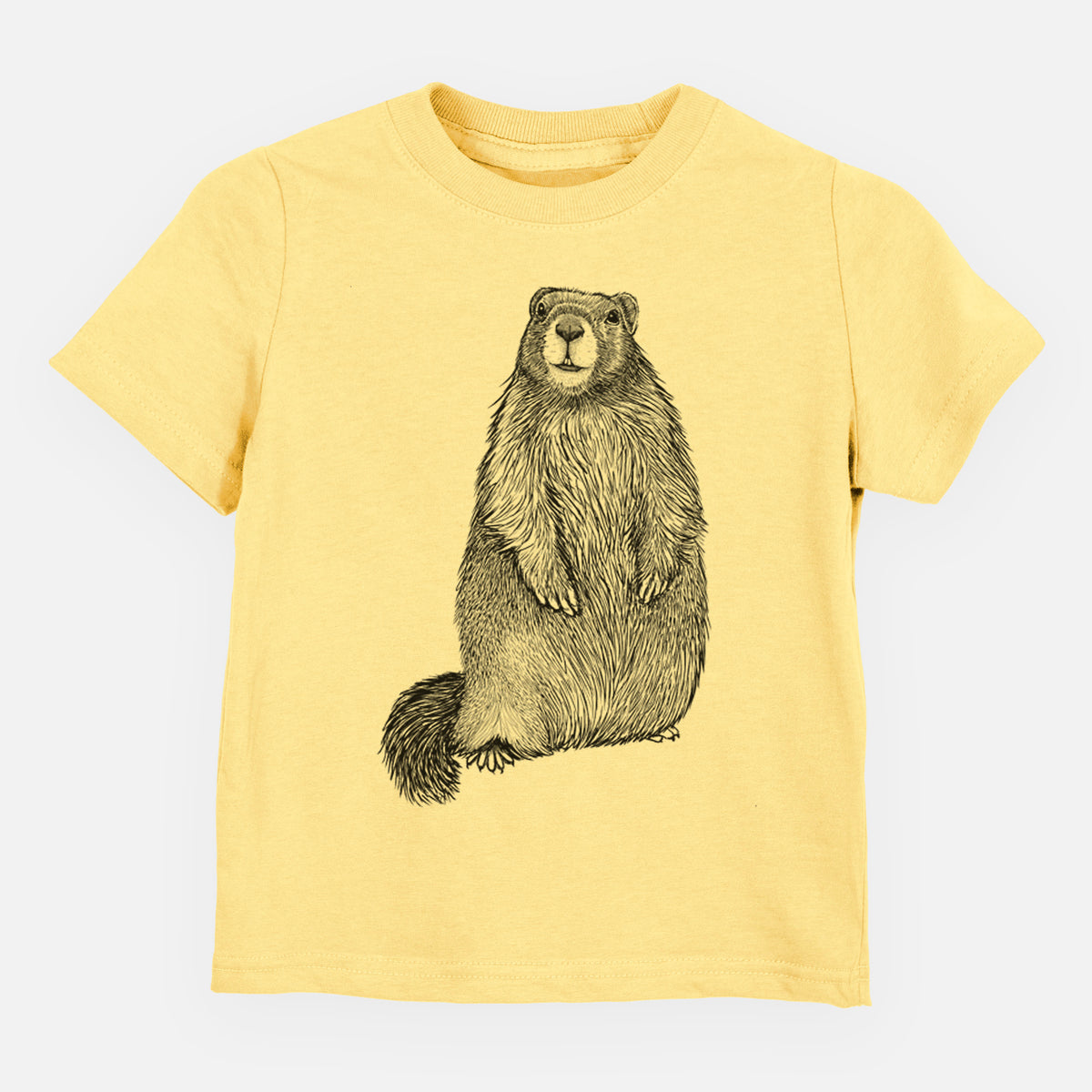 Butter yellow toddler t-shirt laid flat, printed with a detailed black ink illustration of a marmot standing upright.