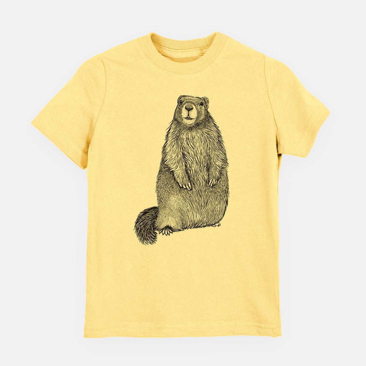 Butter yellow youth t-shirt laid flat, printed with a detailed black ink illustration of a marmot standing upright.