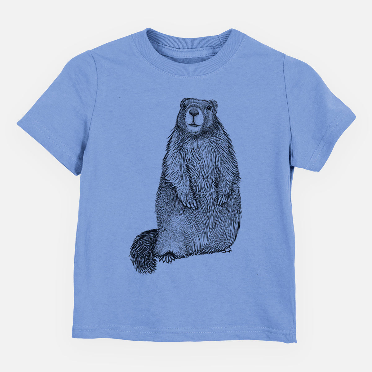 Carolina blue toddler t-shirt laid flat, printed with a detailed black ink illustration of a marmot standing upright.