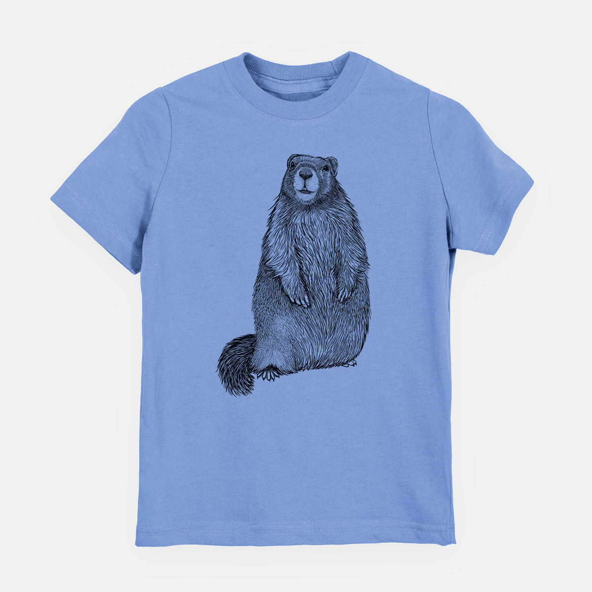 Carolina blue youth t-shirt laid flat, printed with a detailed black ink illustration of a marmot standing upright.