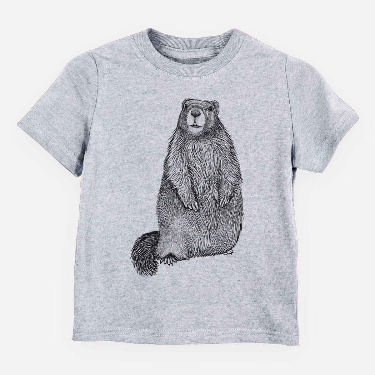 Heather grey toddler t-shirt laid flat, printed with a detailed black ink illustration of a marmot standing upright.