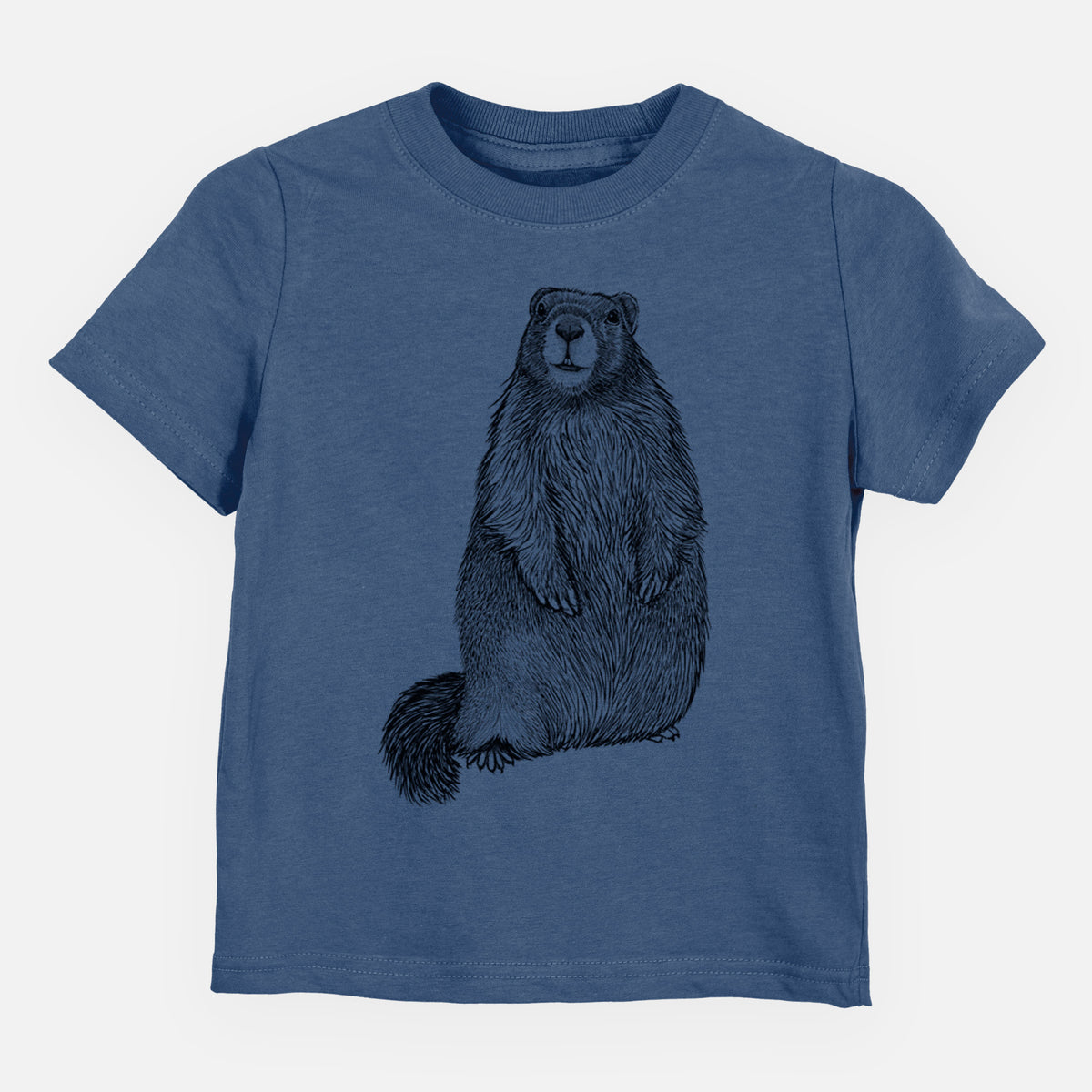 Indigo blue toddler t-shirt laid flat, printed with a detailed black ink illustration of a marmot standing upright.