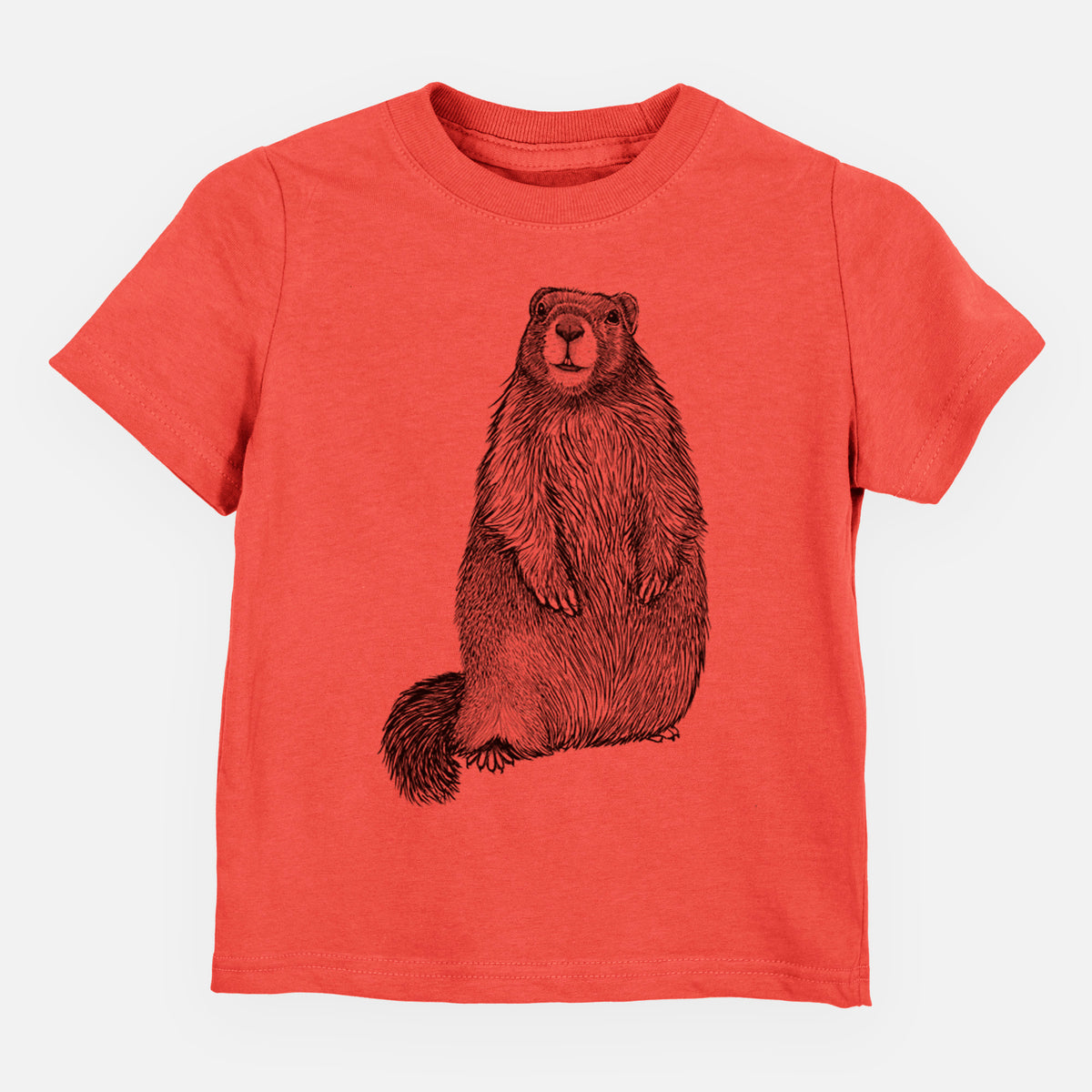 Passionfruit pink toddler t-shirt laid flat, printed with a detailed black ink illustration of a marmot standing upright.